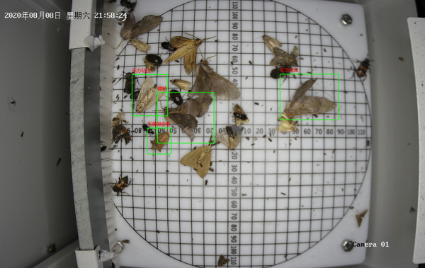 病蟲害監(jiān)測系統(tǒng)圖片3