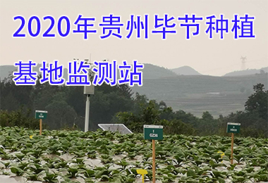 2020年貴州畢節(jié)種植基地監(jiān)測(cè)站