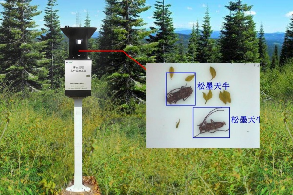 物聯(lián)網(wǎng)天牛智能監(jiān)測(cè)系統(tǒng)圖片 物聯(lián)網(wǎng)天牛智能監(jiān)測(cè)系統(tǒng)圖片