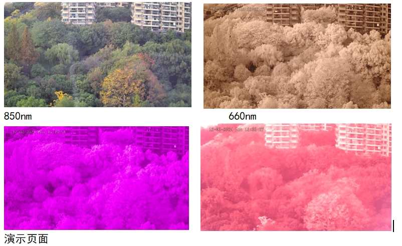 1755654273116125.png 6.png