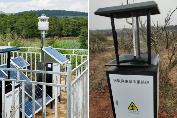 蟲情測報(bào)燈圖片2 蟲情測報(bào)燈圖片2